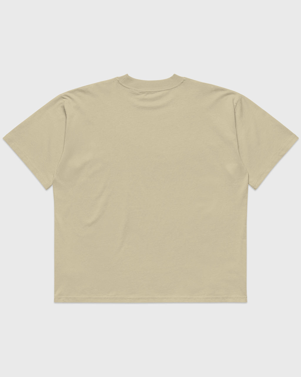 Rückansicht eines stonefarbenen PRETTY USELESS Oversized T-Shirts ohne Rückendruck.