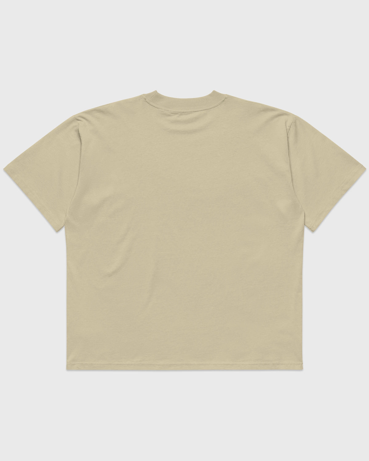 Rückansicht eines stonefarbenen PRETTY USELESS Oversized T-Shirts ohne Rückendruck.